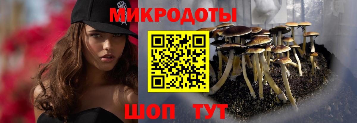 Псилоцибиновые грибы ЛСД  Вход с VPN  Галлюциногенные грибы мицелий  Северобайкальск 